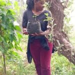 Combating Climate Change Through Organic Farming